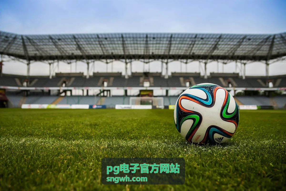 pg电子官方网站安防与物联网终端低功耗贴装方案示意